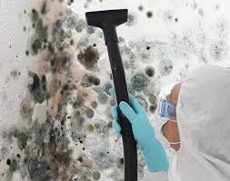 Best Mold Removal for HVAC Installations  in England, AR